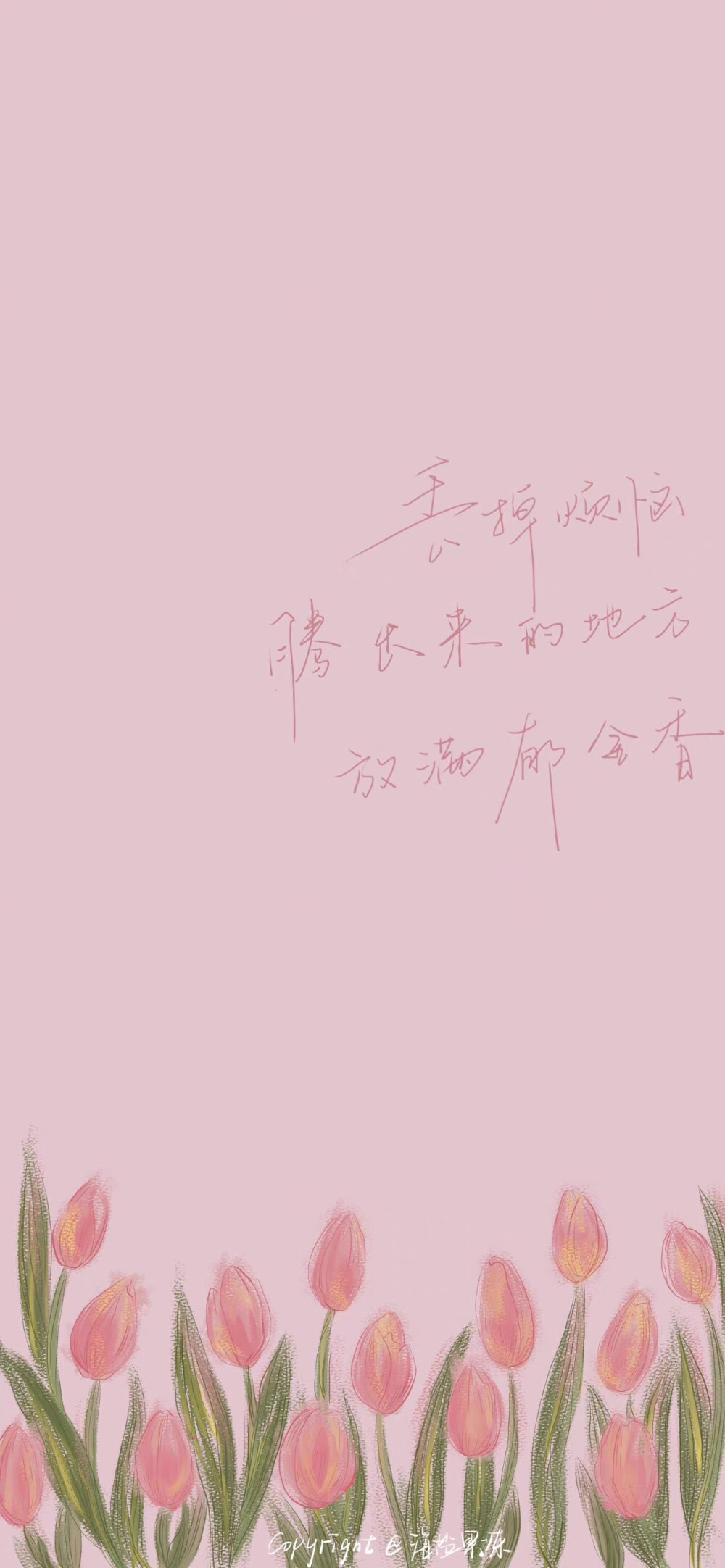 文字壁纸