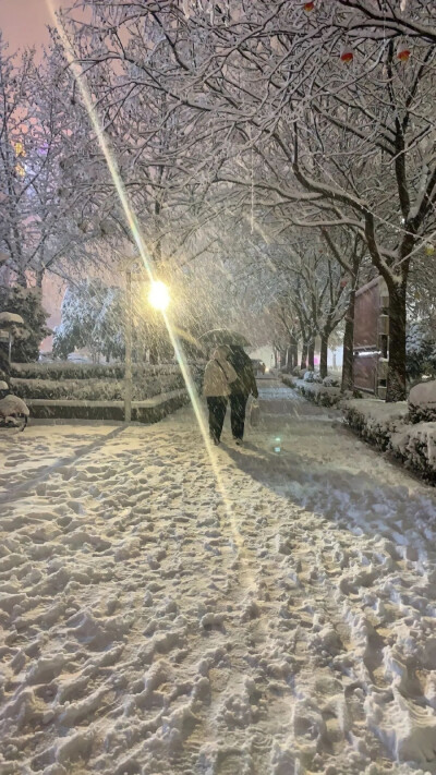 可爱壁纸 大雪壁纸