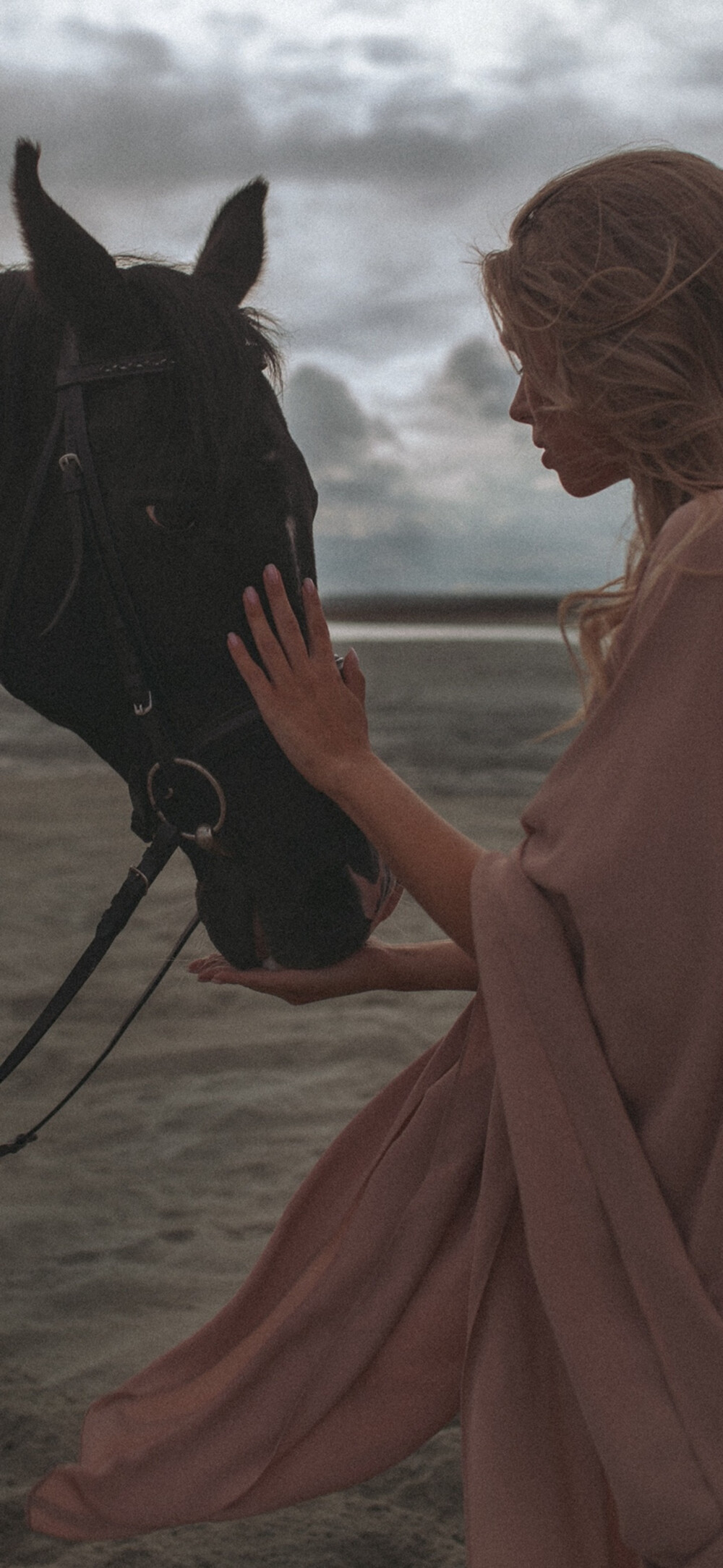 欧美壁纸金发美女