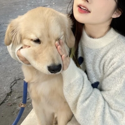 男友不是人情头