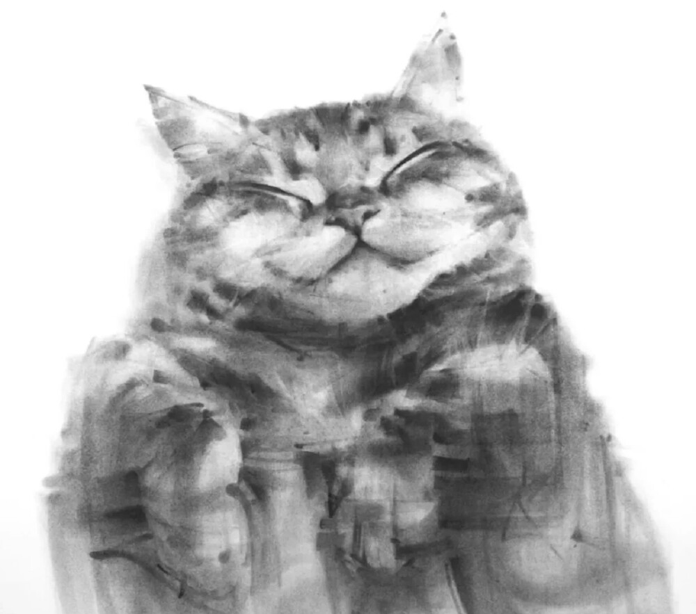 插画猫咪