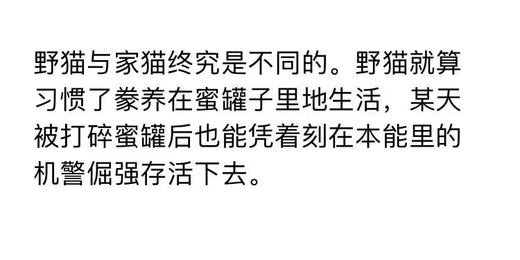 野猫和家猫终究是不同的。夜猫就算习惯了豢养在蜜罐子里的生活，某天被打碎蜜罐后也能凭着刻在本能里的机警倔强存活下去。
侵权删
#冷瞳