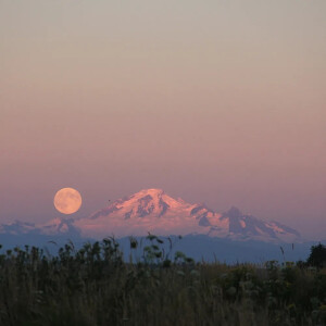 朋友圈背景图
.怪风太温柔像老朋友像旧时候。