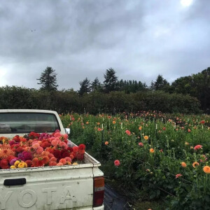 朋友圈背景图
.怪风太温柔像老朋友像旧时候。