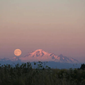 朋友圈背景图
.怪风太温柔像老朋友像旧时候。