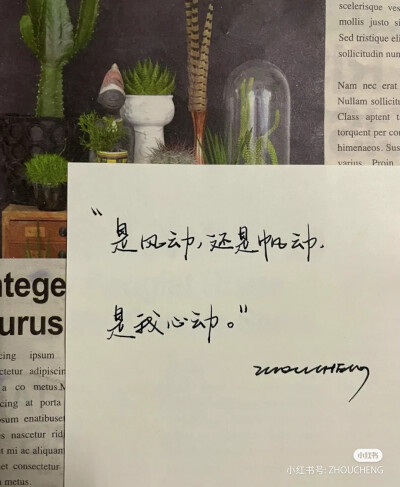 情话