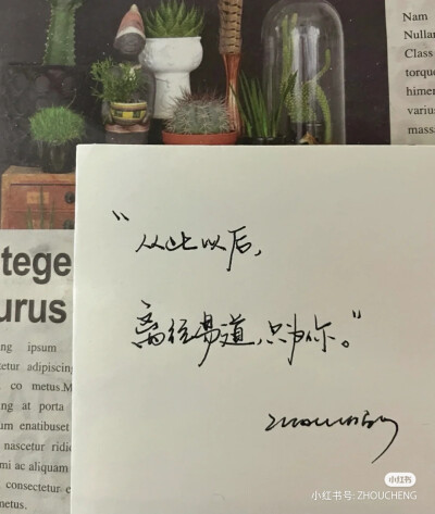 情话
