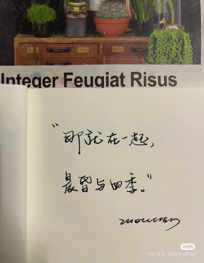 情话