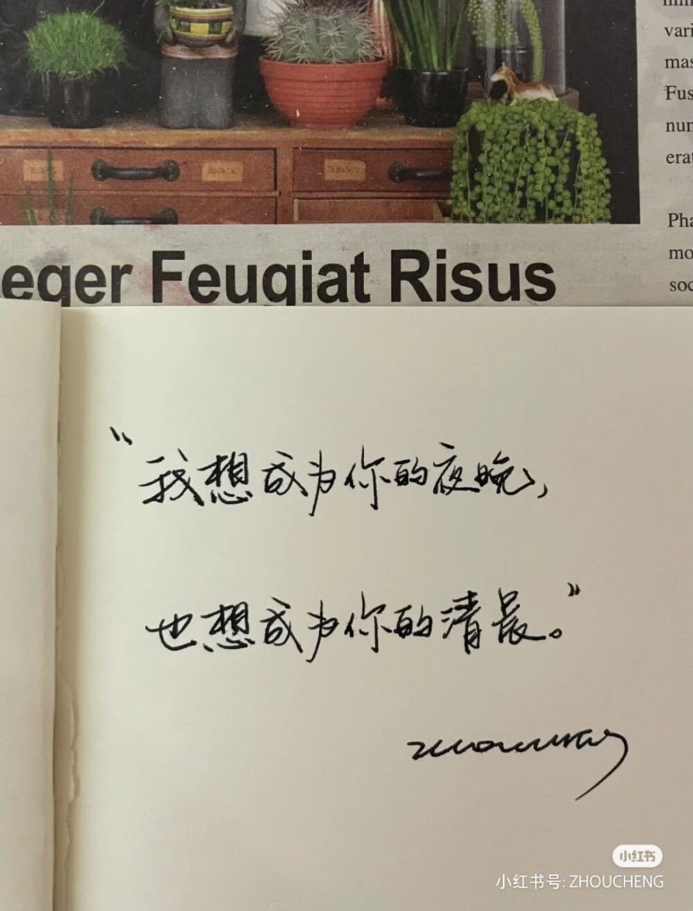 情话