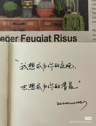情话