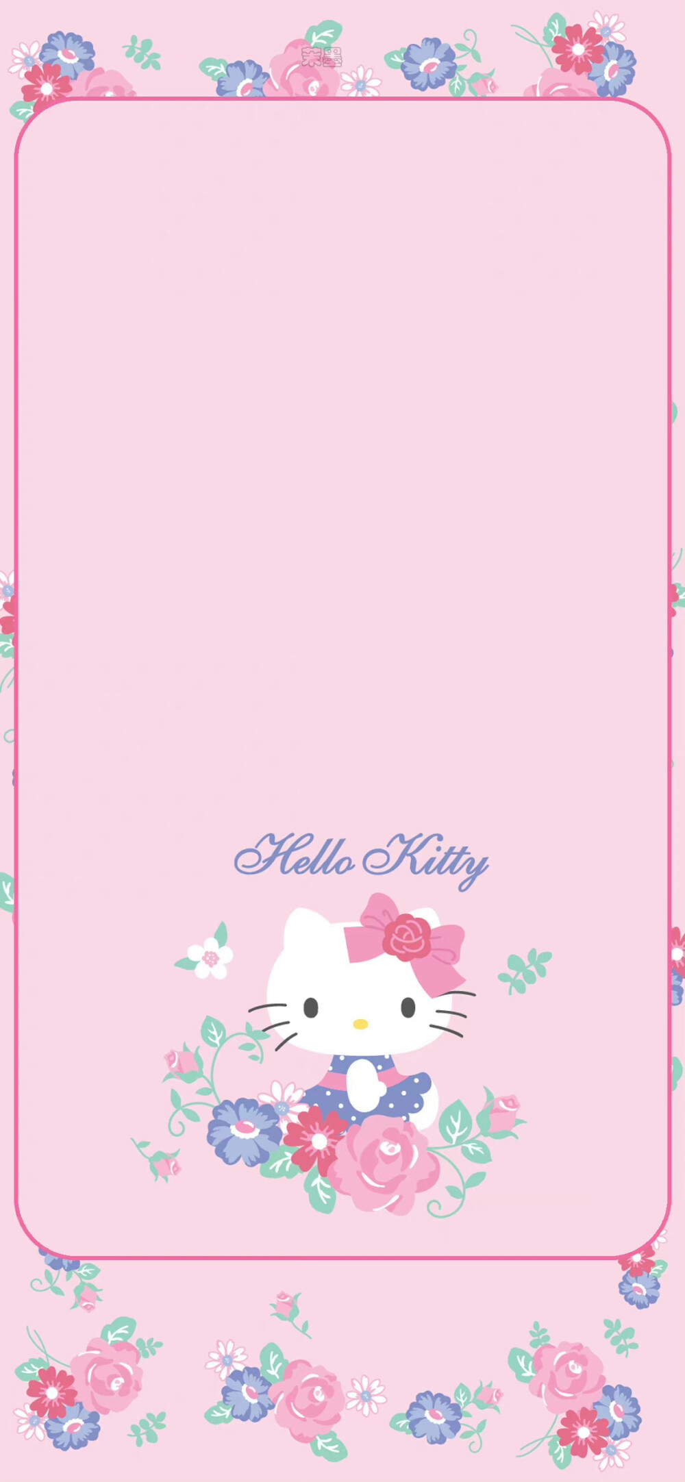 hello my kitty～