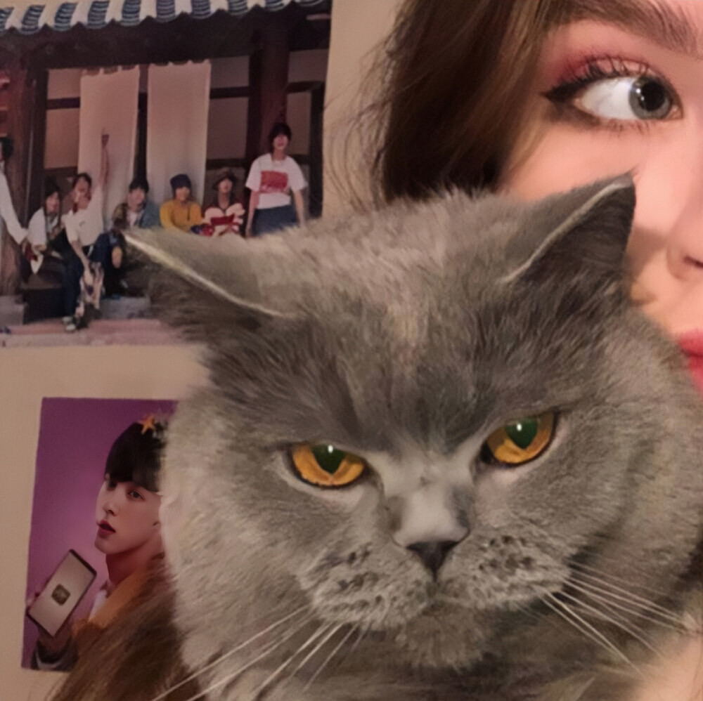 女生头像女生抱猫咪头像