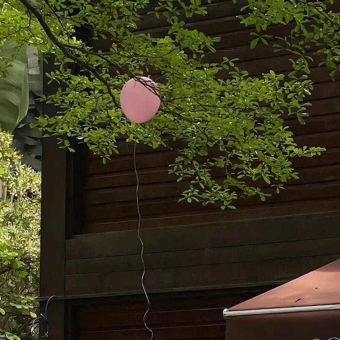 你的心里也是大雪天吗