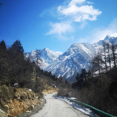 风景图壁纸