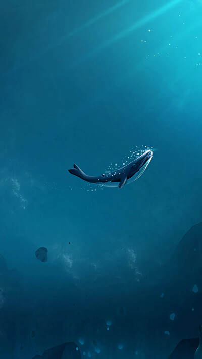 Lonely whale 