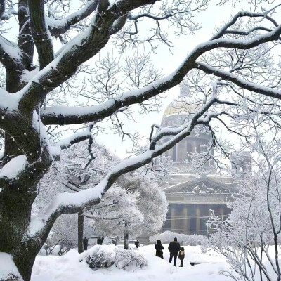 冬日女头/下雪 雪景