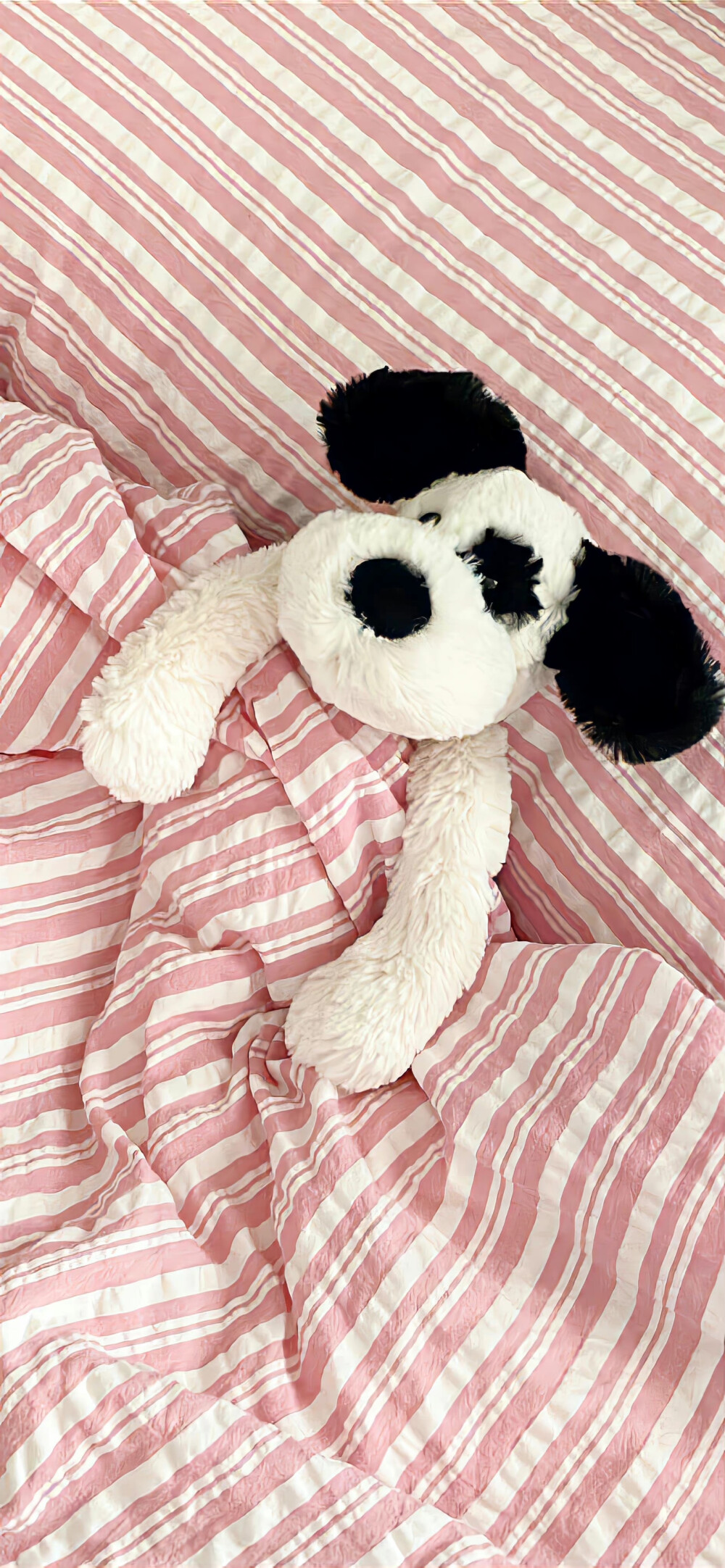 暖色 白色 粉色 锁屏壁纸 可爱