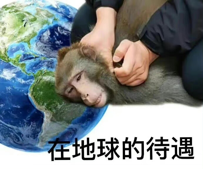 表情包