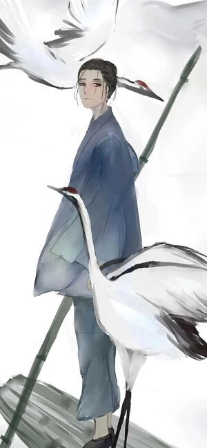 壁纸