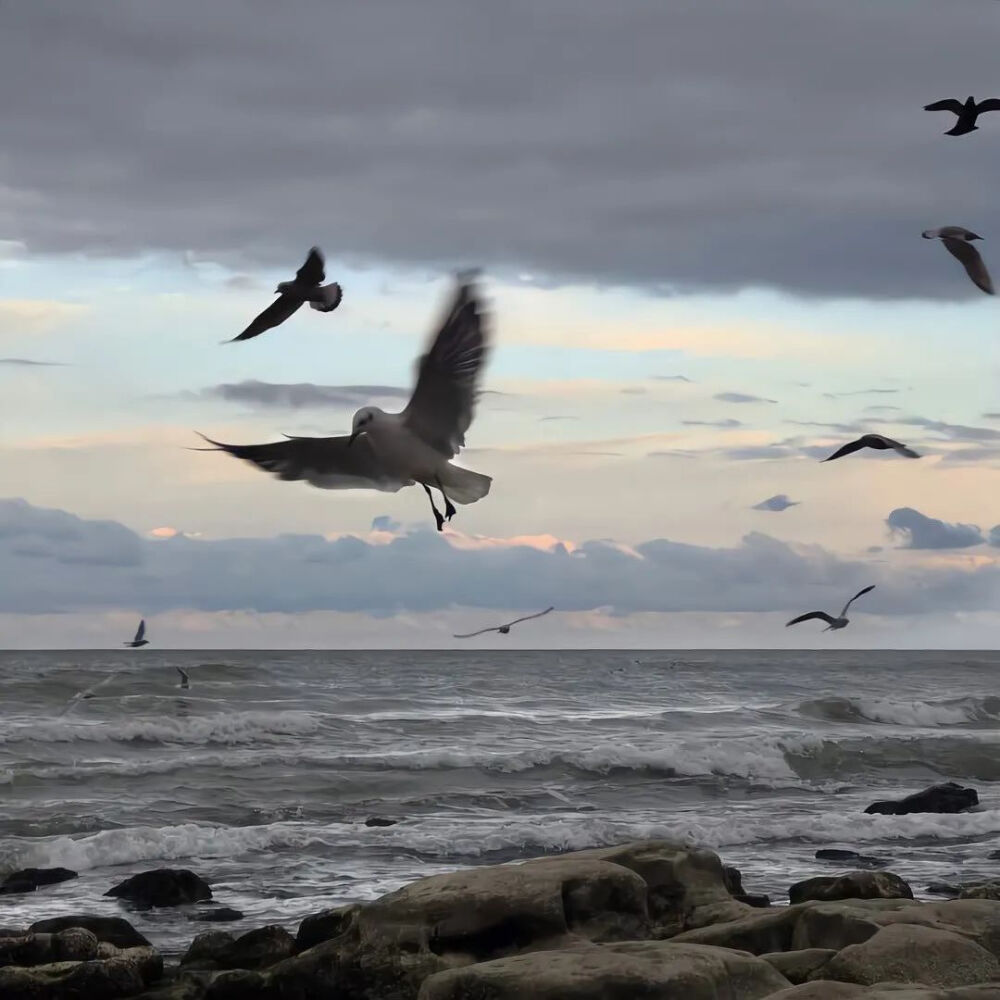 海 背景图