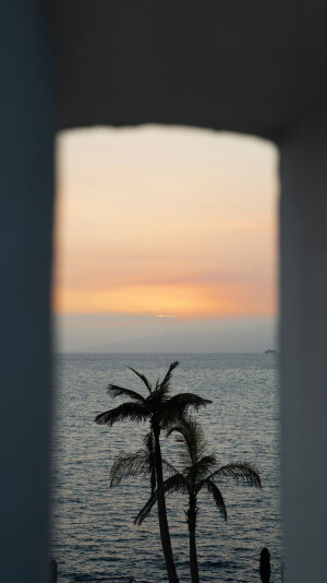 各种各样的壁纸