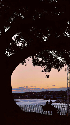 各种各样的壁纸