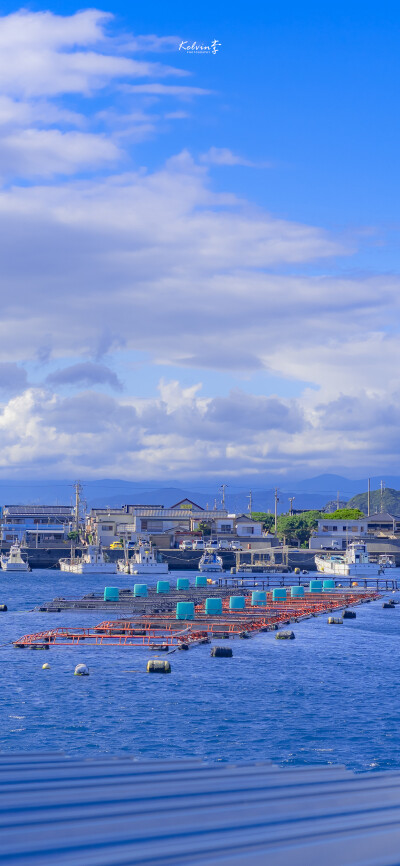 壁纸
街景
头像
背景
美图
