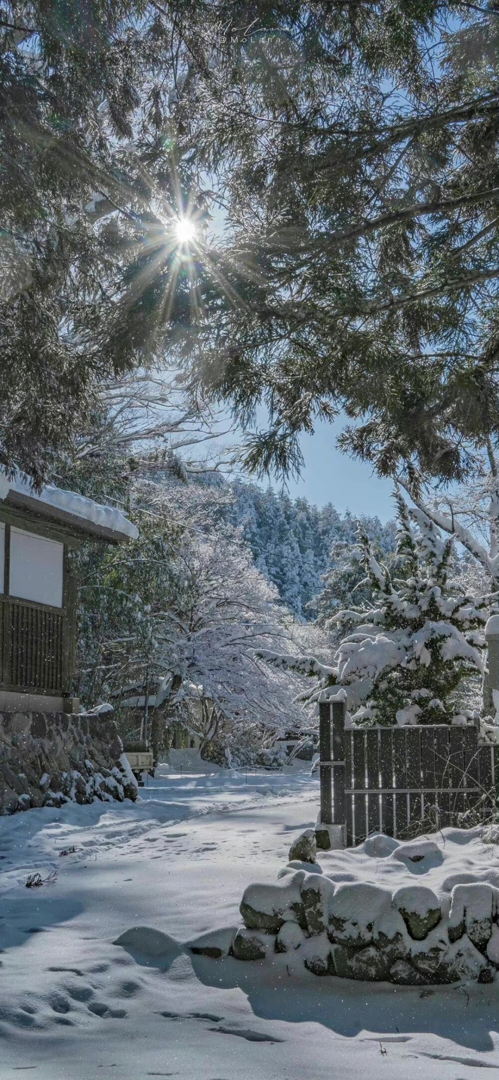 雪景壁纸