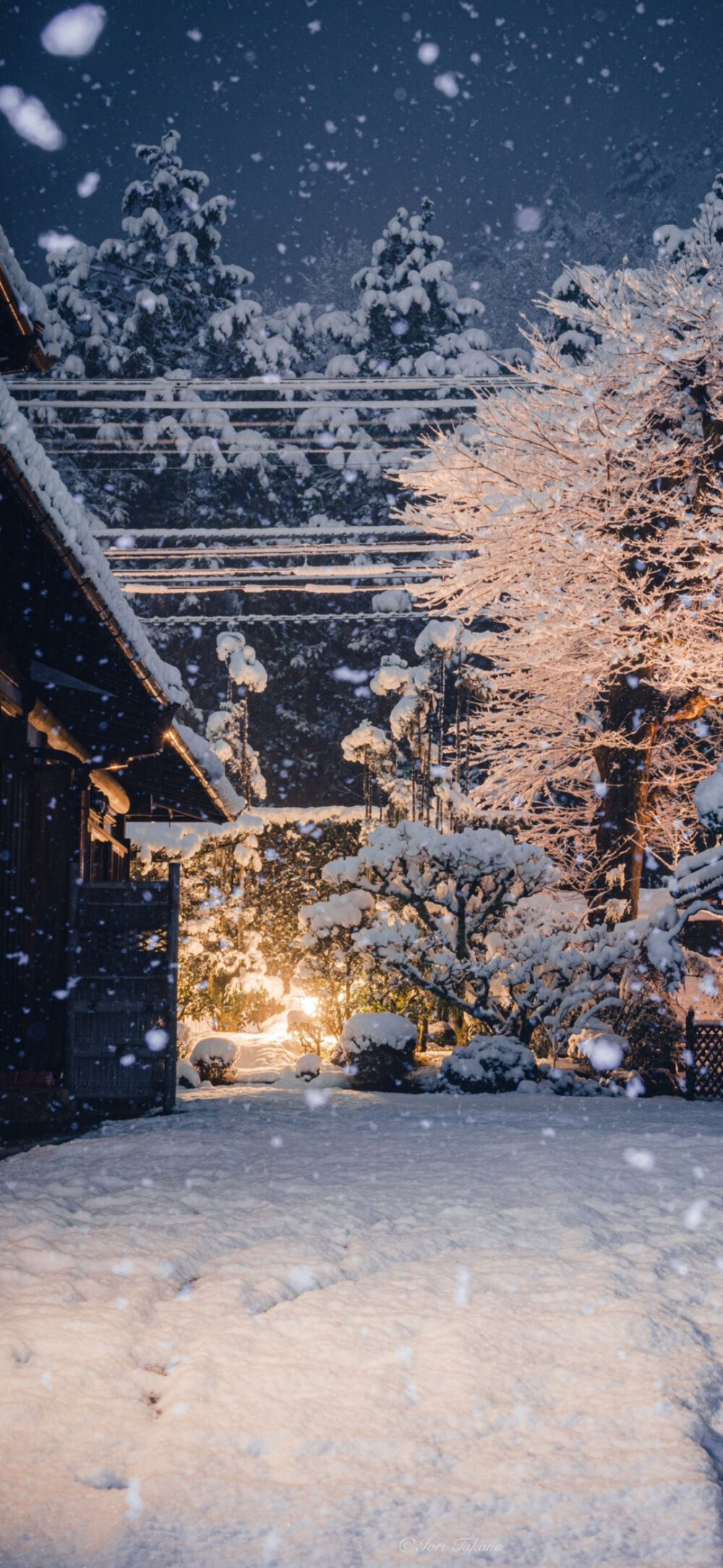 雪景壁纸