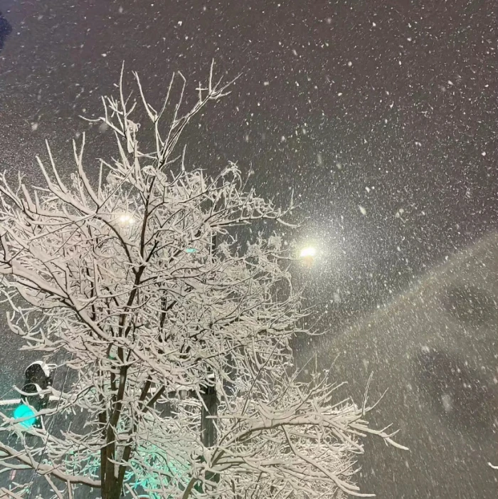 白色 冬天 氛围感背景图
看简介