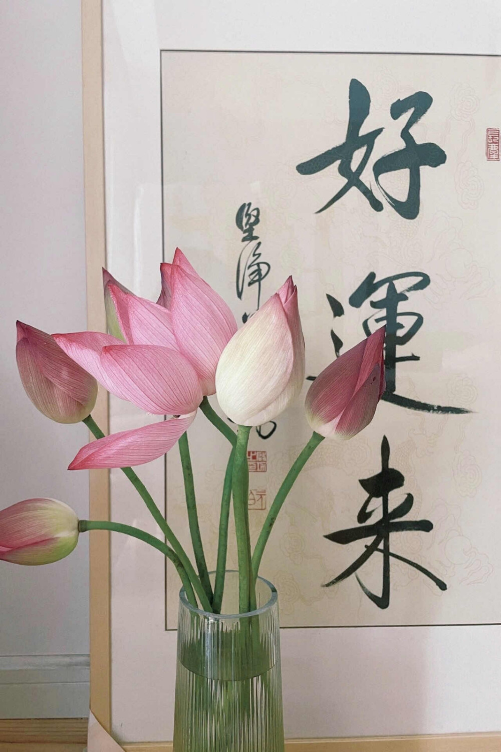 荷花