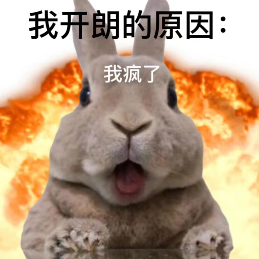 猹 表情包 - 高清图片，堆糖，美图壁纸兴趣社区