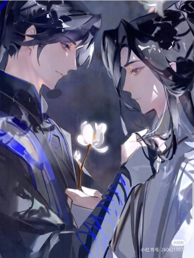 二哈和他的白猫师尊