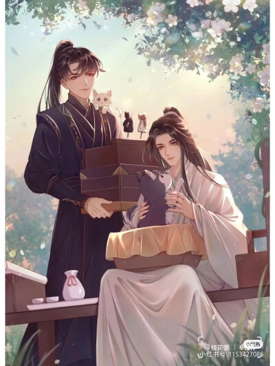 二哈和他的白猫师尊