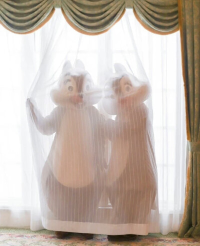 迪士尼 奇奇蒂蒂 Chip&Dale 