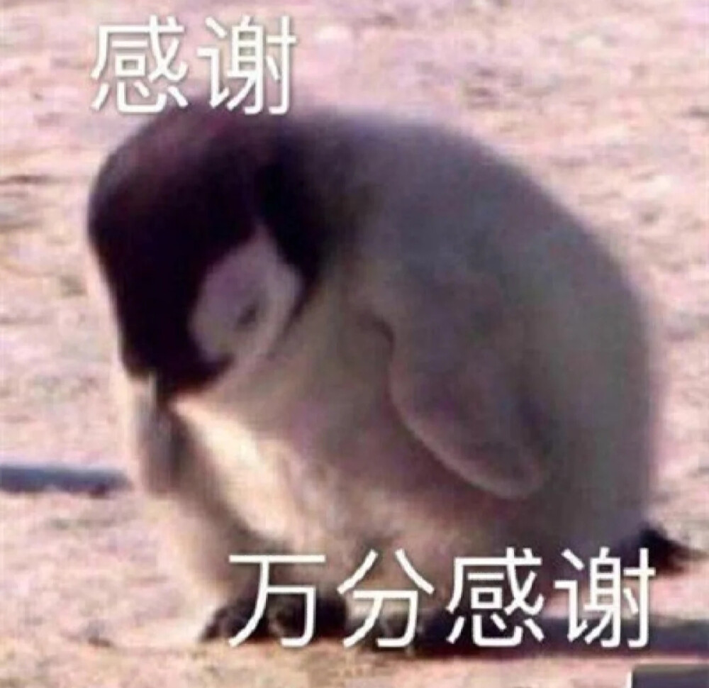 搬运