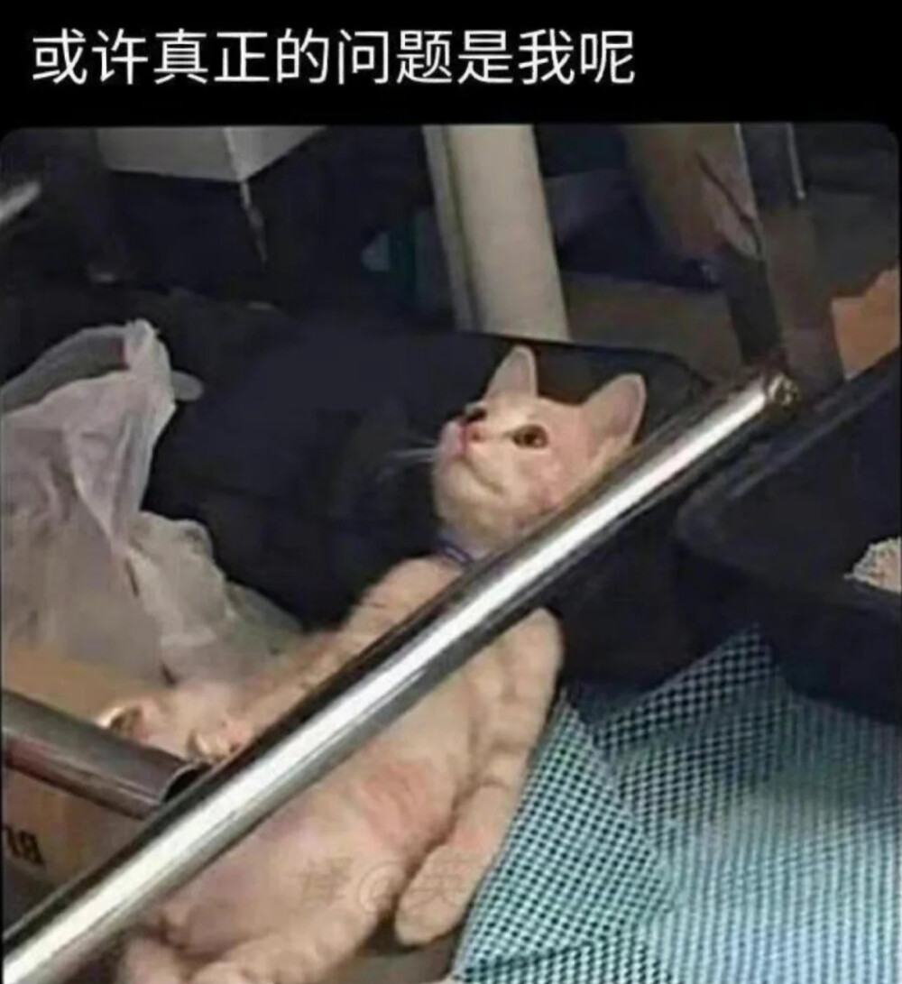 搬运