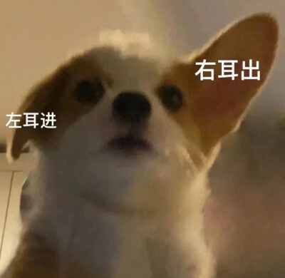 搬运