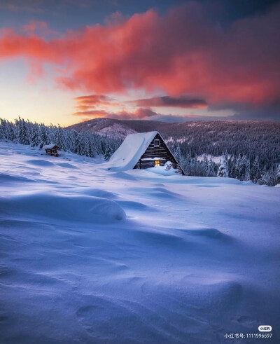 雪景