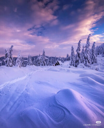 雪景