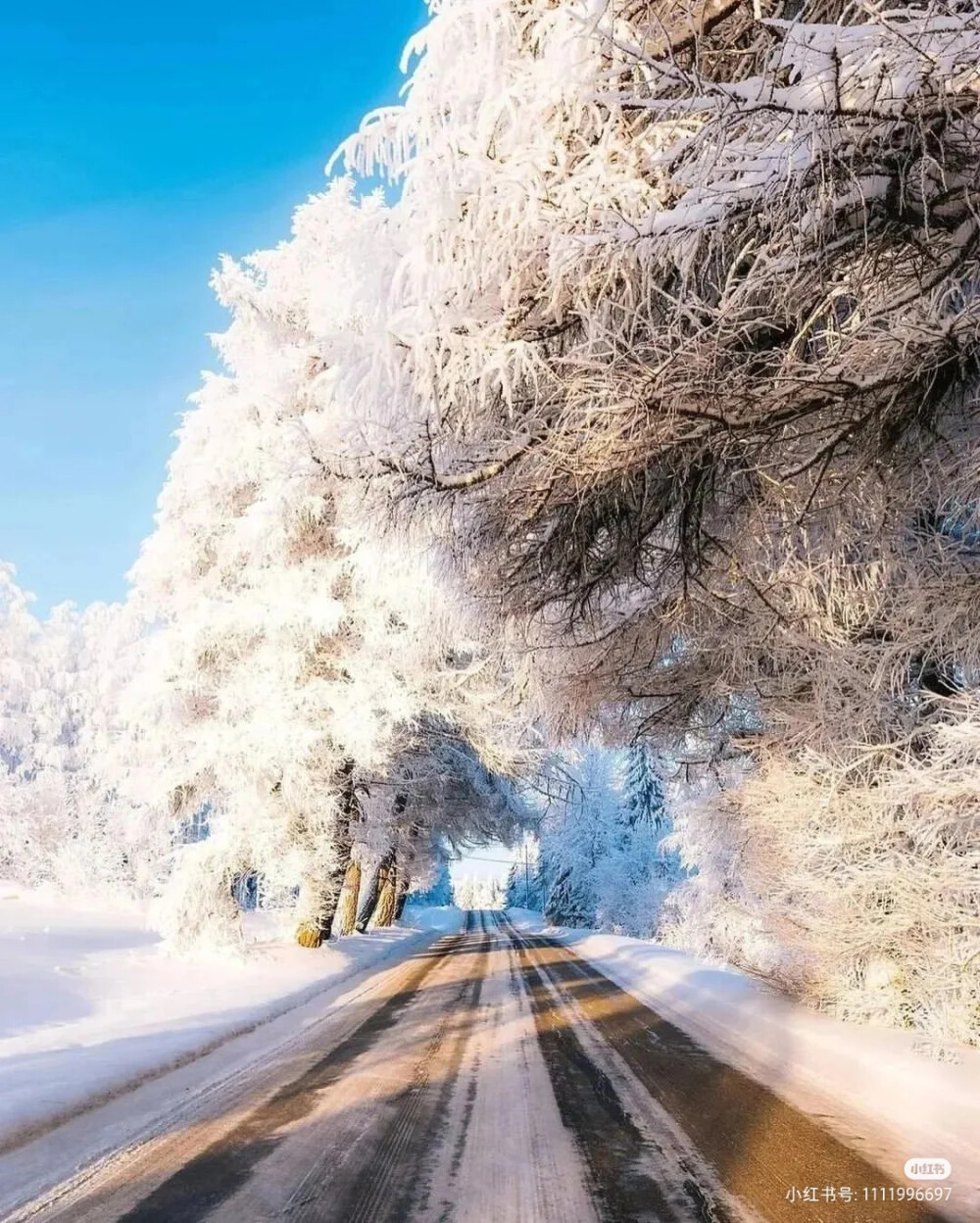 雪景