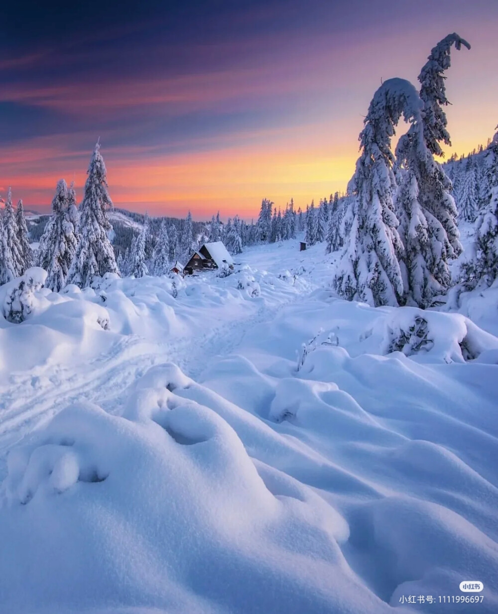 雪景