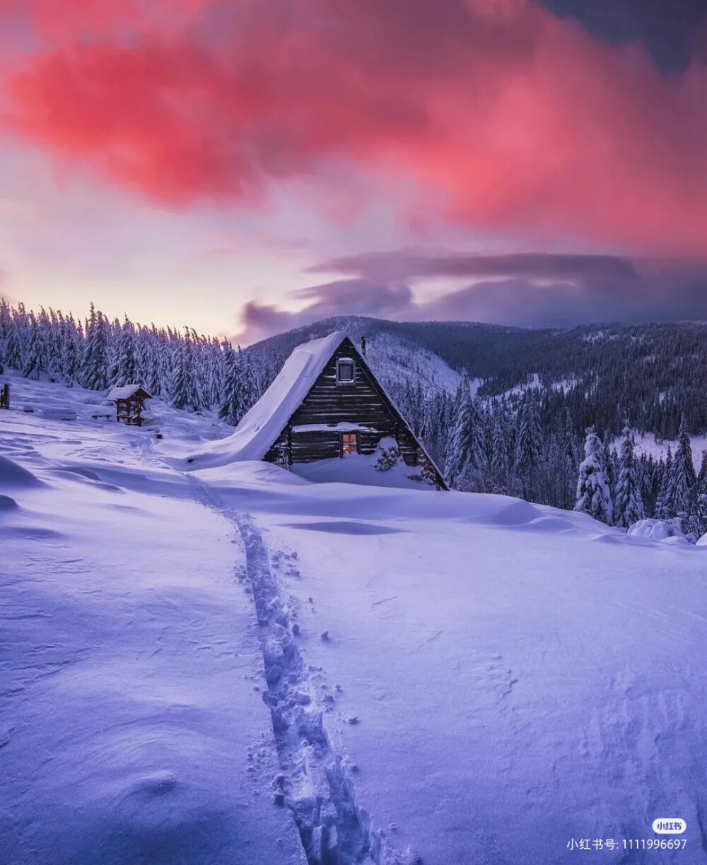 雪景