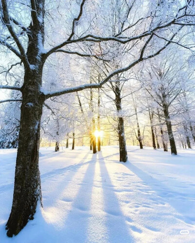 雪景