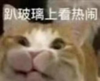 猫猫表情包