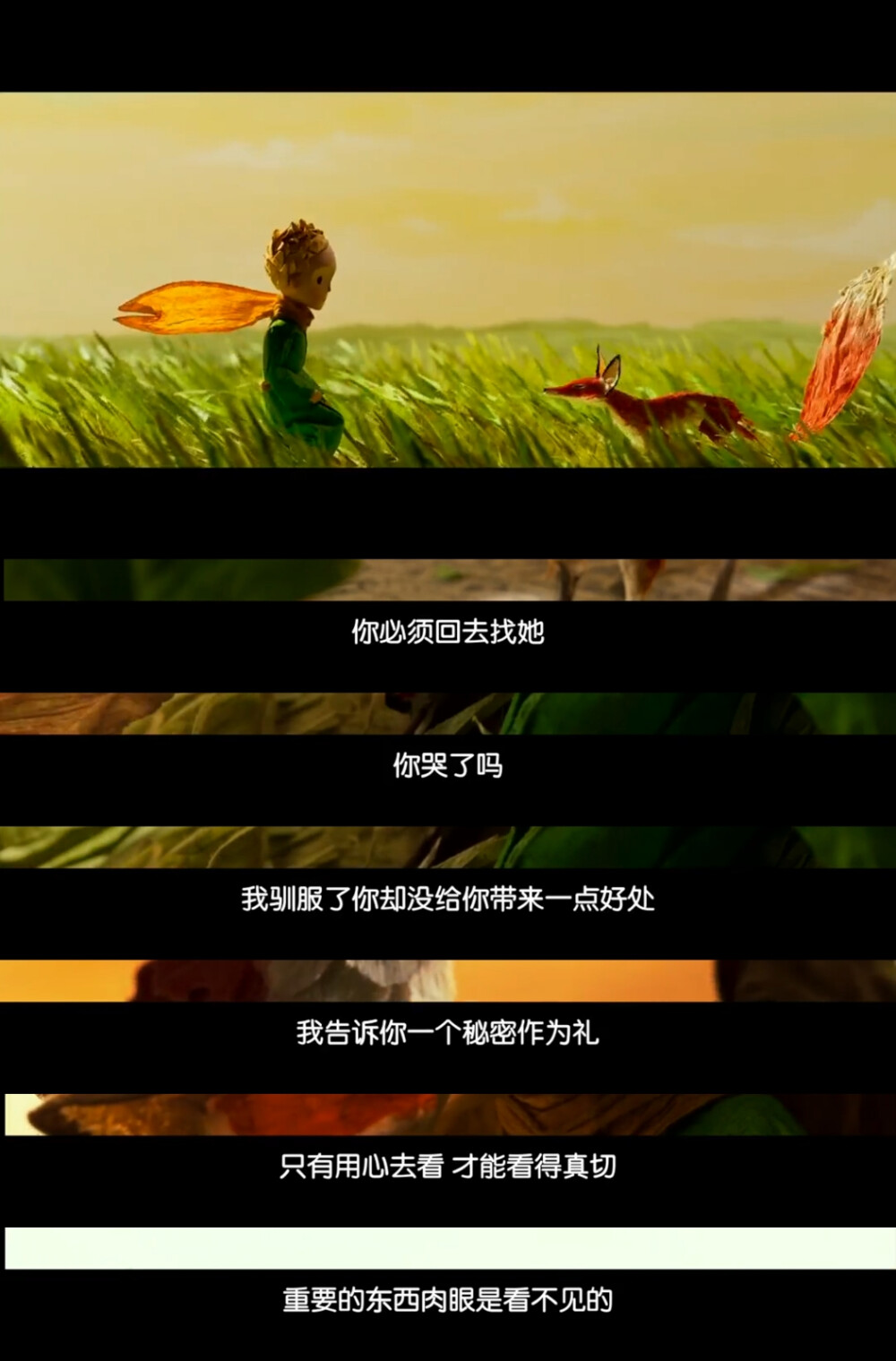 从此当风吹麦浪
那金黄色的麦浪
就会让他觉得与众不同