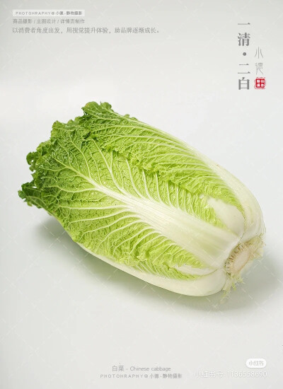 静物