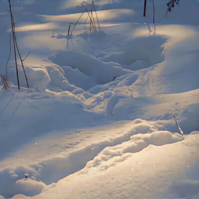 雪