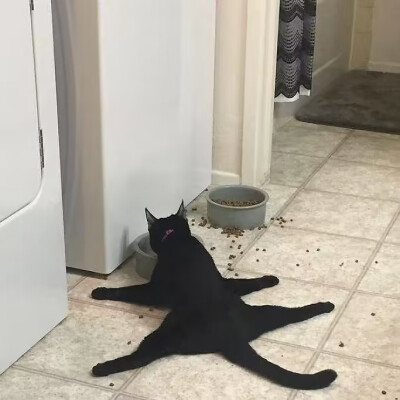 深渊(˶‾᷄ ⁻̫ ‾᷅˵)