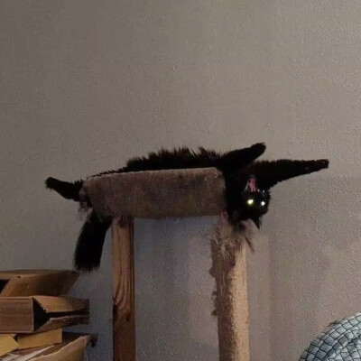 深渊(˶‾᷄ ⁻̫ ‾᷅˵)